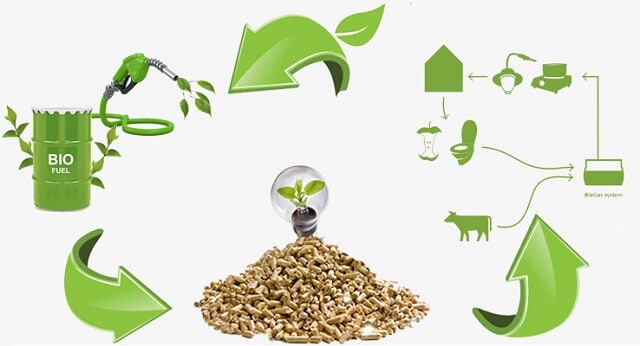 Năng lượng sinh khối tạo ra điện