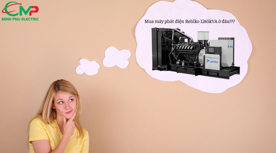 Nên mua máy phát điện Rehlko 1265kVA ở đâu uy tín?